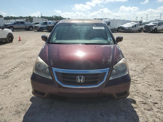 2009 Honda Odyssey Ex VIN: 5FNRL38469B407584 Lot: 60239894