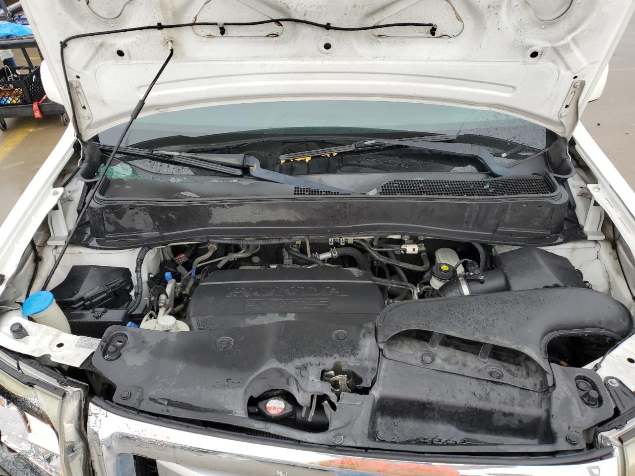 5FNYF3H51BB032558 2011 Honda Pilot Exl