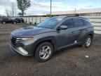 2023 HYUNDAI TUCSON SEL - 5NMJB3AE4PH252273