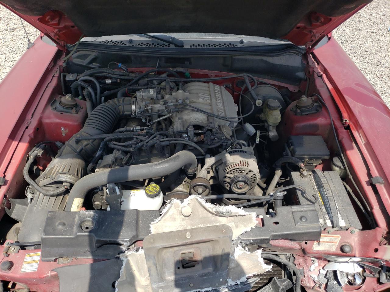 1FAFP4443WF219038 1998 Ford Mustang