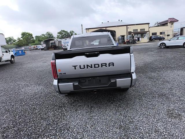 2023 Toyota Tundra Crewmax Platinum VIN: 5TFNC5DB1PX034150 Lot: 57485484