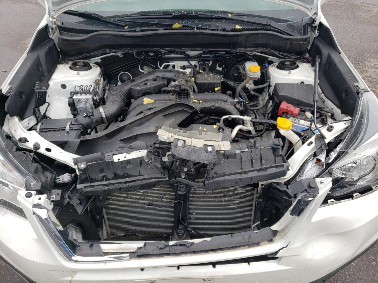 JF2SJAEC9HH460447 2017 Subaru Forester 2.5I Premium