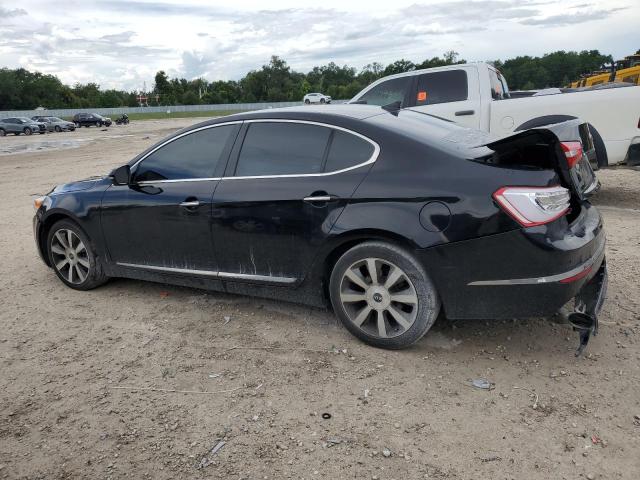 2014 Kia Cadenza Premium VIN: KNALN4D72E5141978 Lot: 61210984
