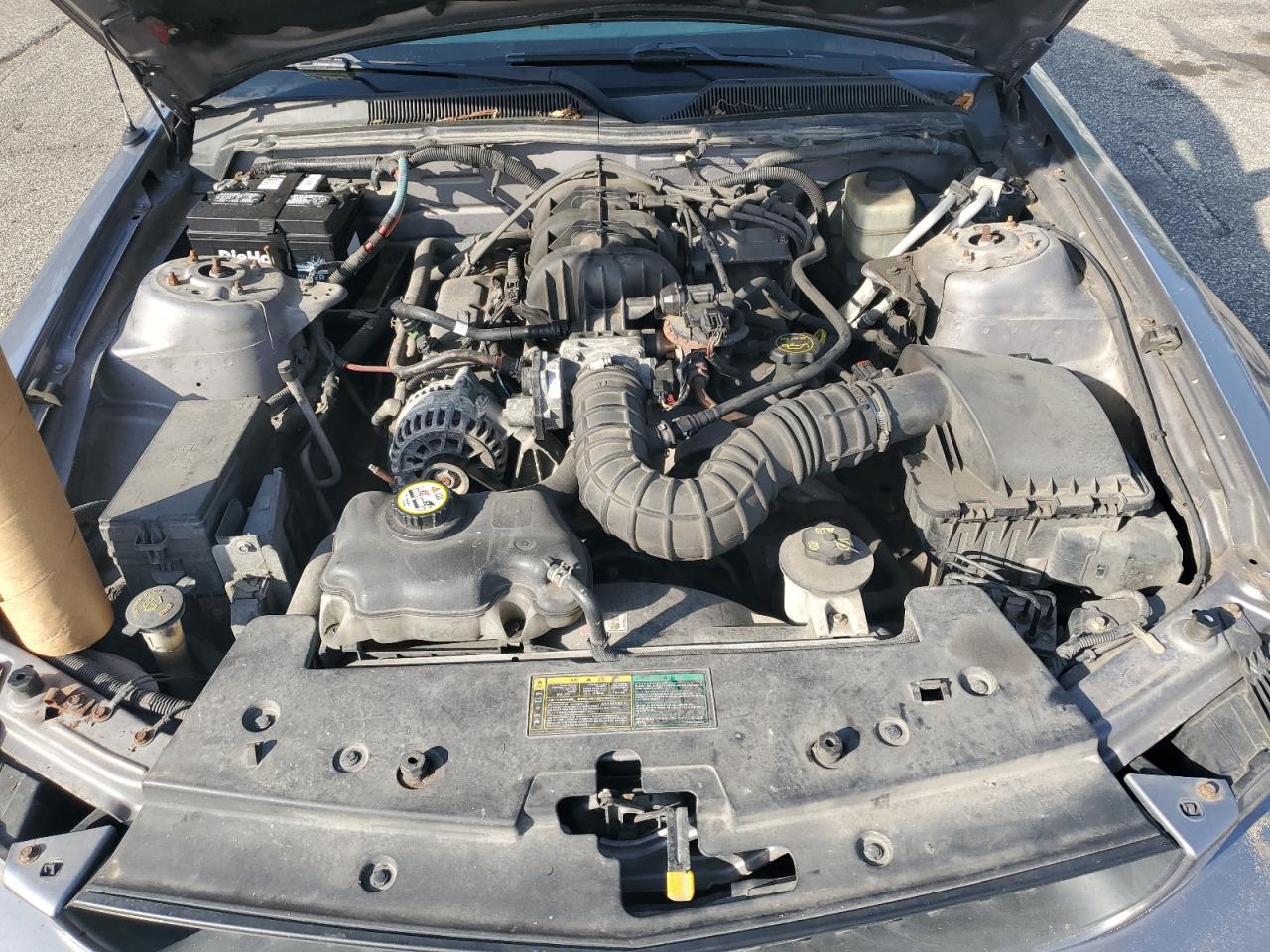 1ZVFT80N765115621 2006 Ford Mustang