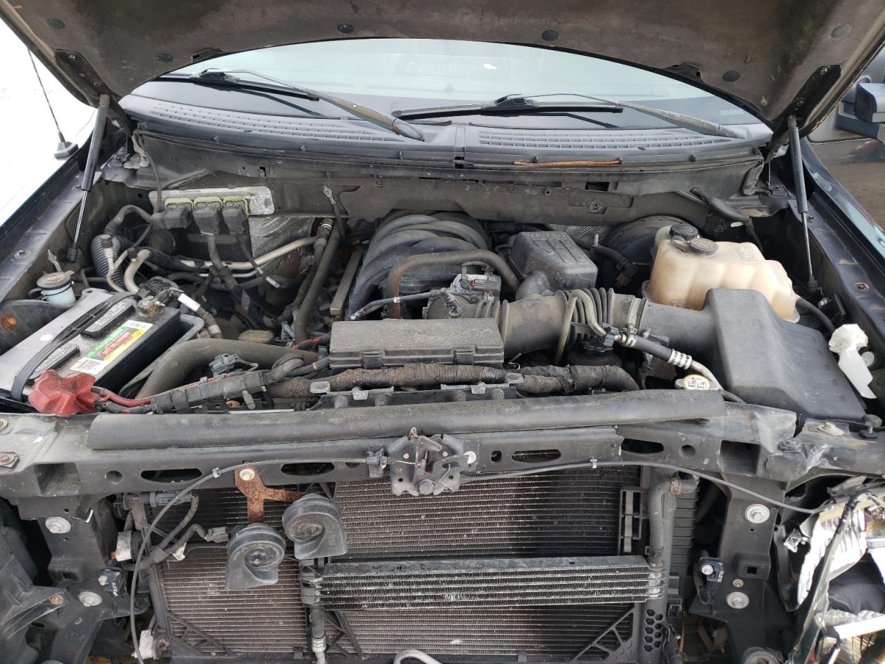 1FTEX1C88AFC60699 2010 Ford F150 Super Cab