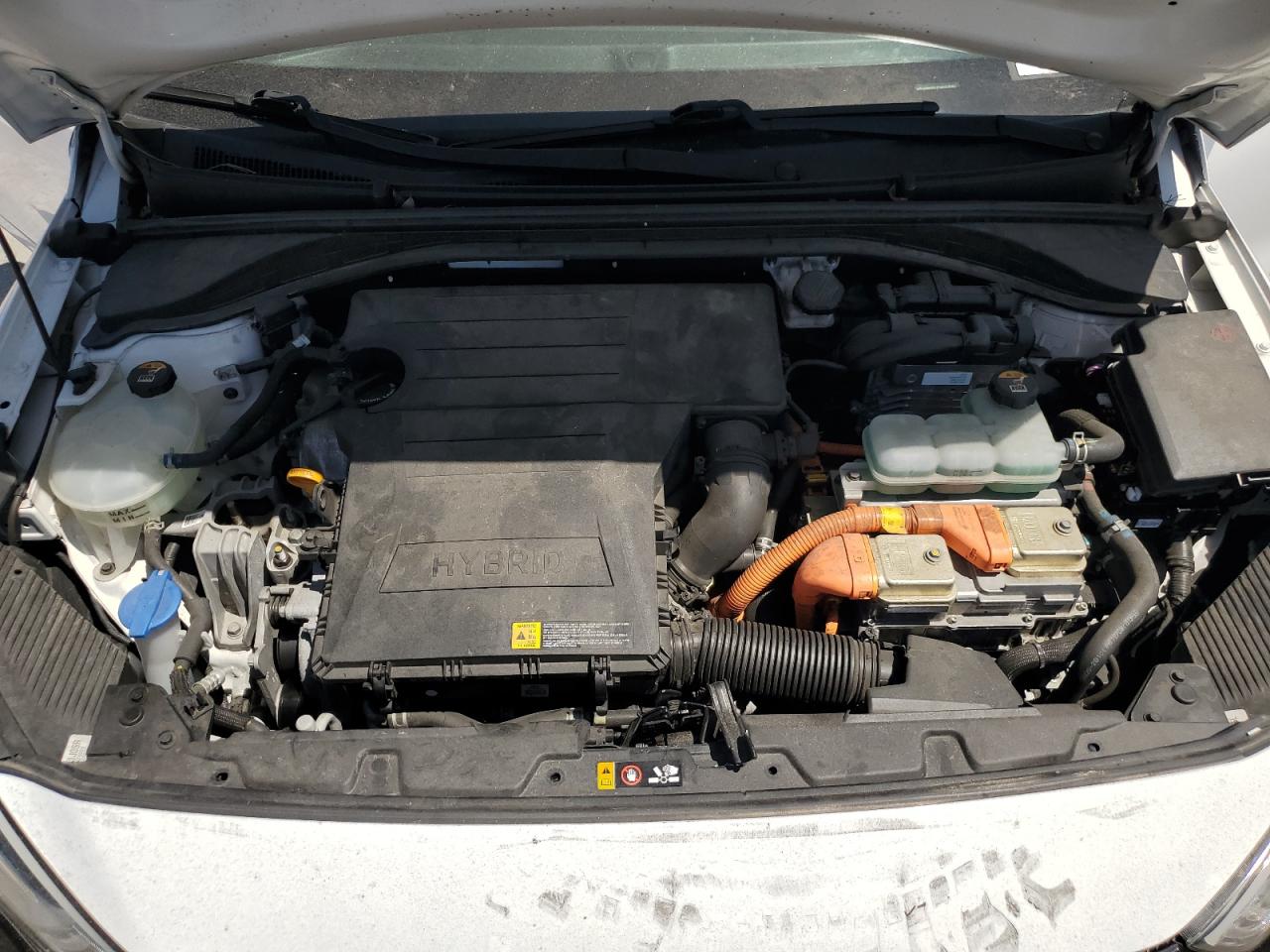 KMHC65LC1KU117382 2019 Hyundai Ioniq Blue