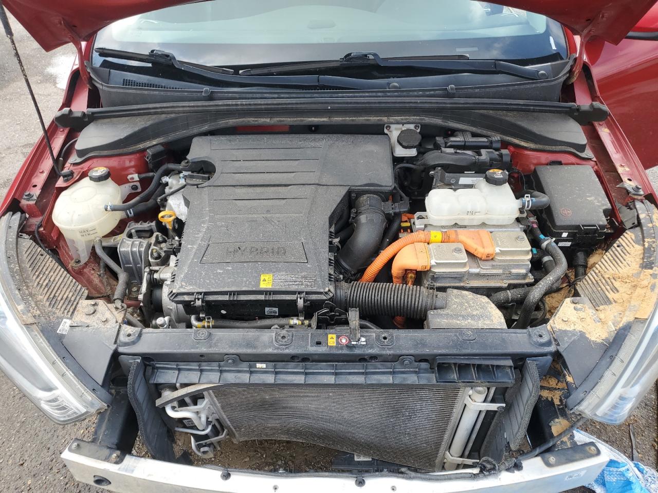 KMHC65LC9KU179483 2019 Hyundai Ioniq Blue