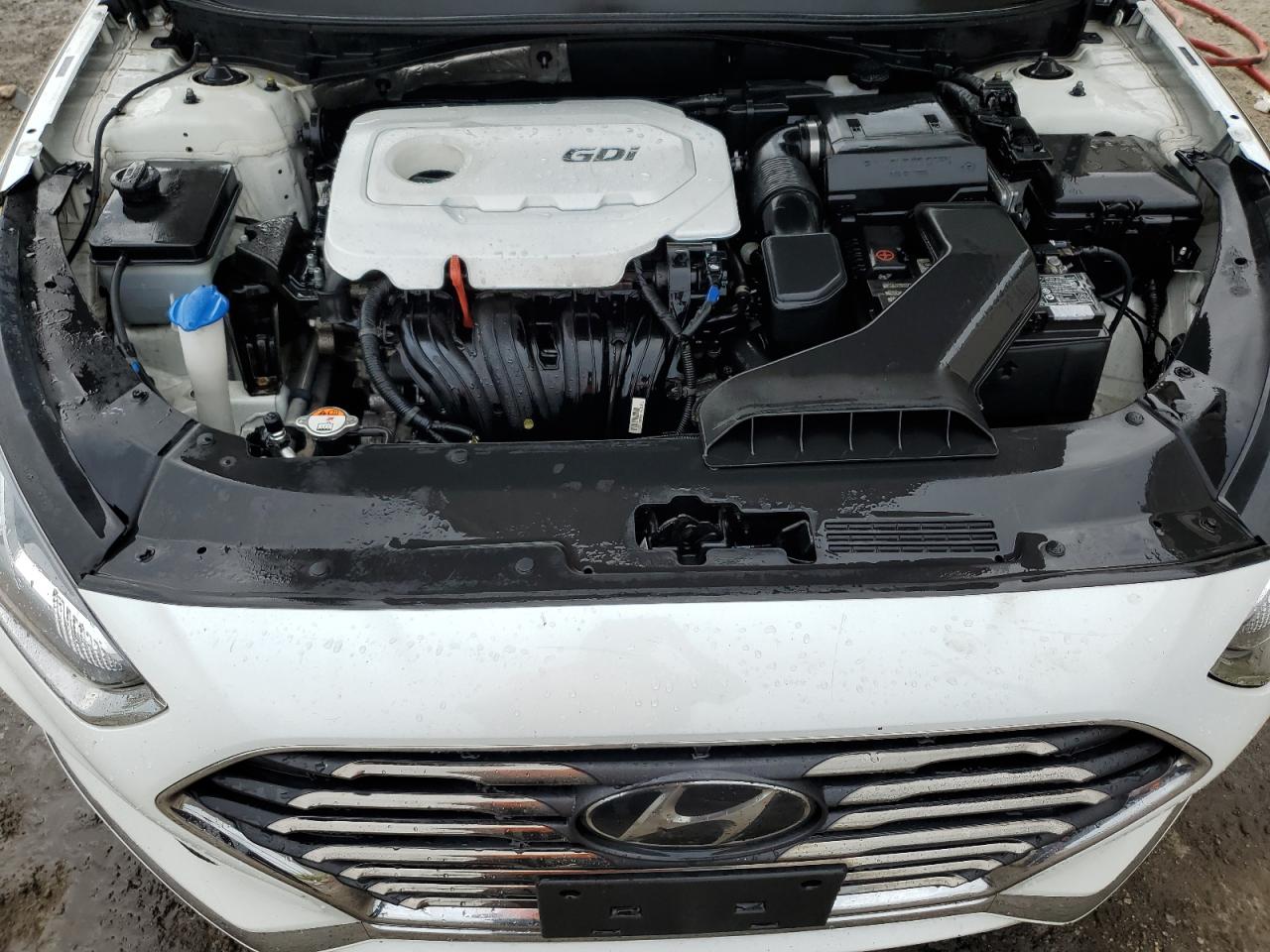 5NPE24AF6KH796348 2019 Hyundai Sonata Se