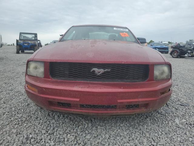 1ZVFT80N175294305 2007 Ford Mustang