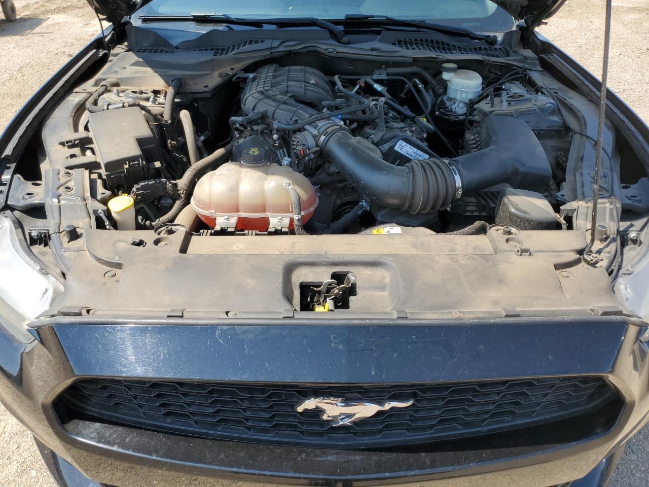 1FA6P8AM0F5428576 2015 Ford Mustang