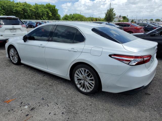 2020 Toyota Camry Xle VIN: 4T1F11AK1LU389561 Lot: 59350534