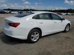 CHEVROLET MALIBU LS photo