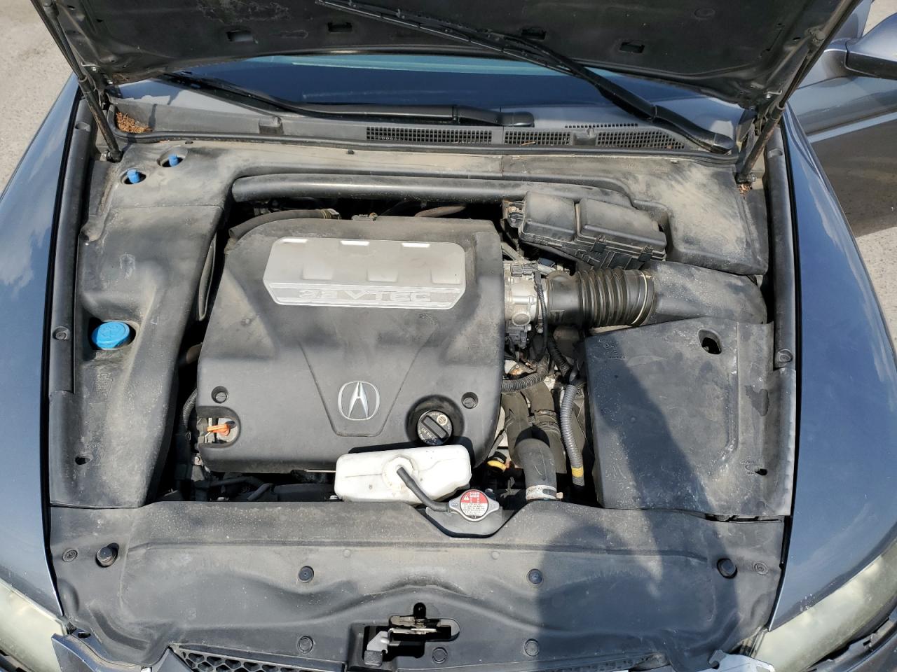 19UUA662X8A048459 2008 Acura Tl