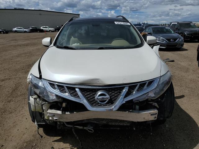 2013 Nissan Murano S VIN: JN8AZ1MW3DW314828 Lot: 57511694