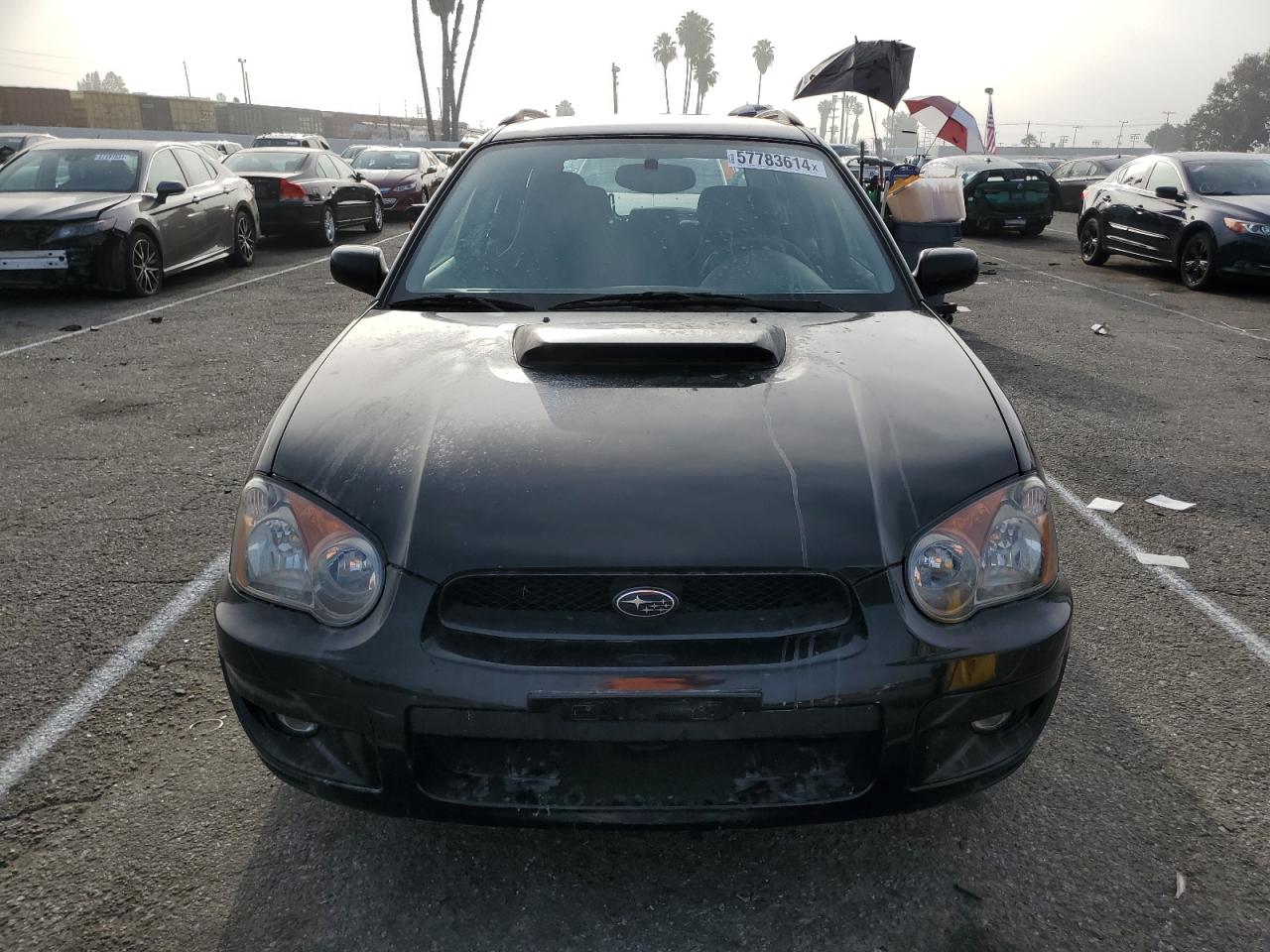 JF1GG29604G813239 2004 Subaru Impreza Wrx