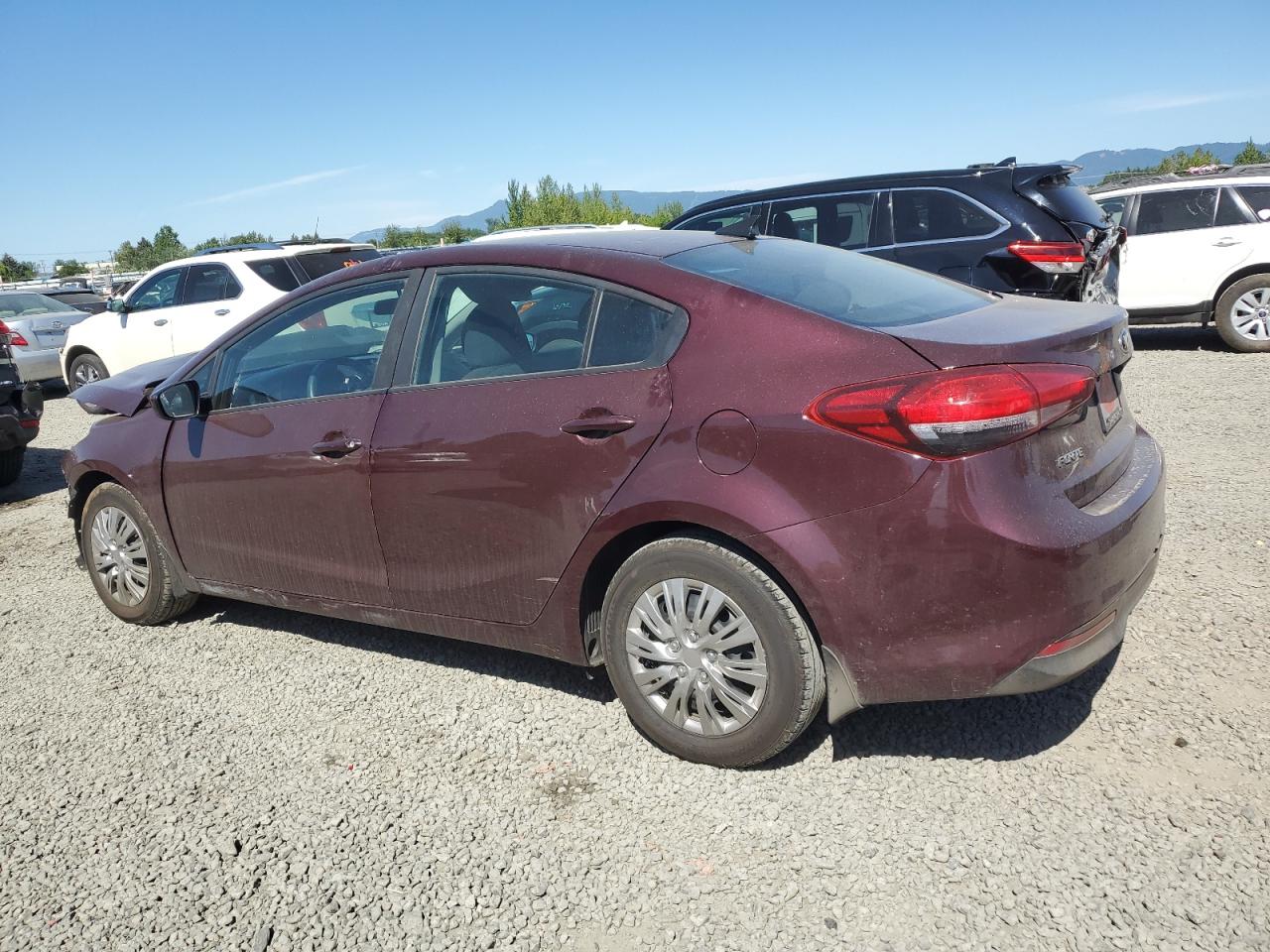 Lot #2919599800 2017 KIA FORTE LX