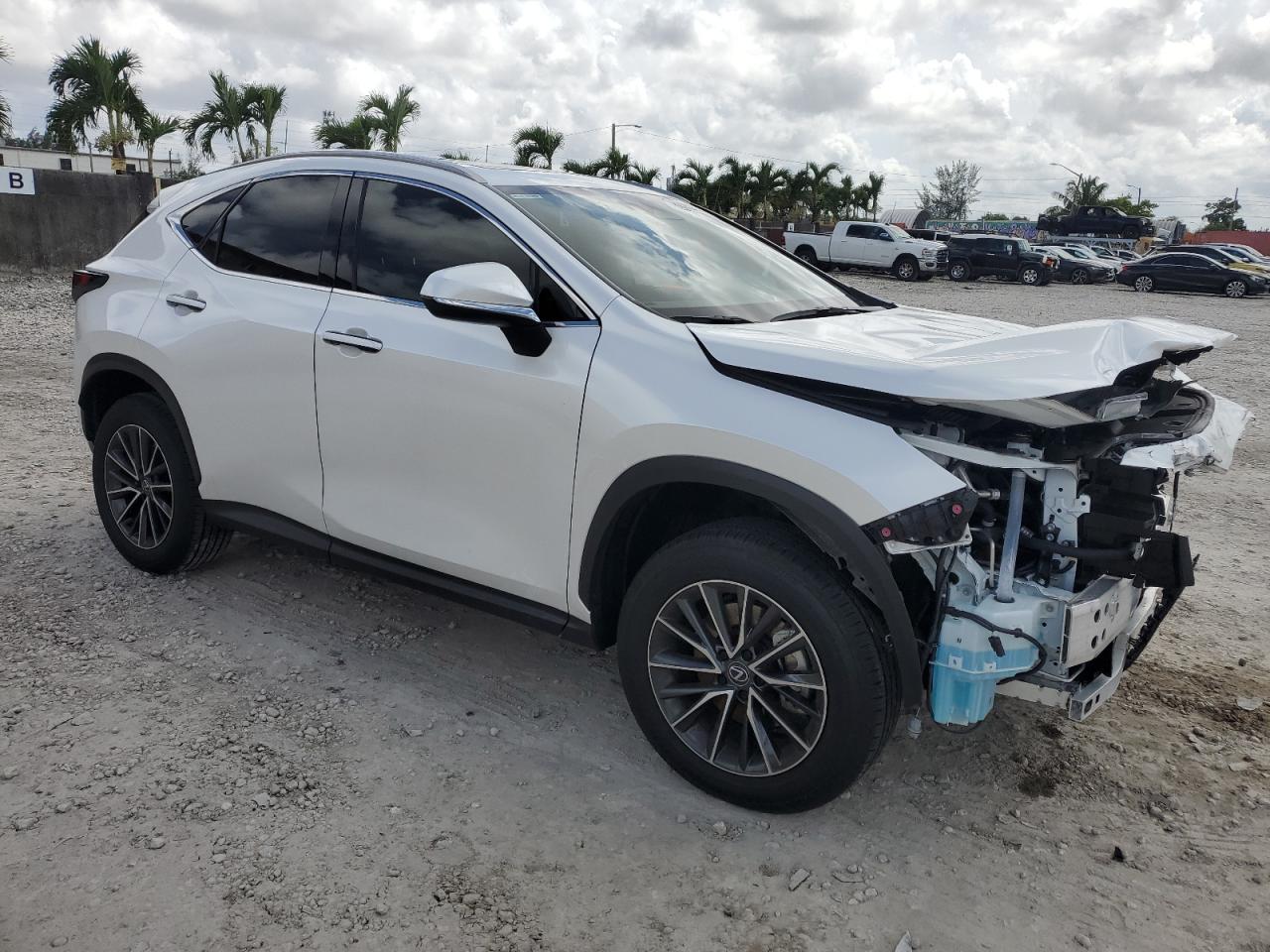 JTJAKCEZXR5022592 2024 Lexus Nx 350H Base