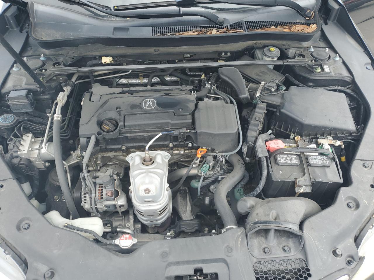 19UUB1F37FA023816 2015 Acura Tlx