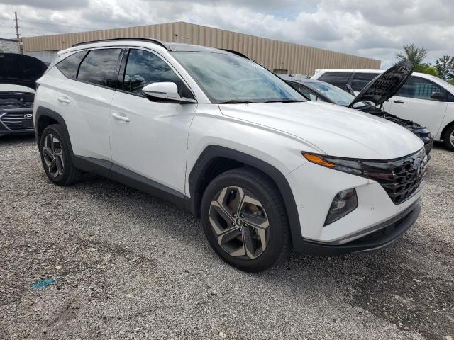 2023 HYUNDAI TUCSON LIM - 5NMJECAE0PH189776