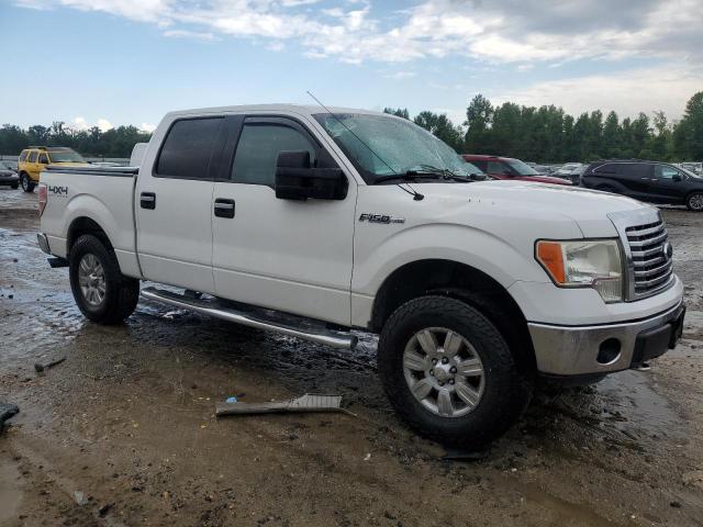 2012 Ford F150 Supercrew VIN: 1FTFW1EF3CFB61343 Lot: 57454564