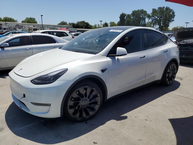 2023 Tesla Model Y VIN: 7SAYGDEF7PF700339 Lot: 58355414