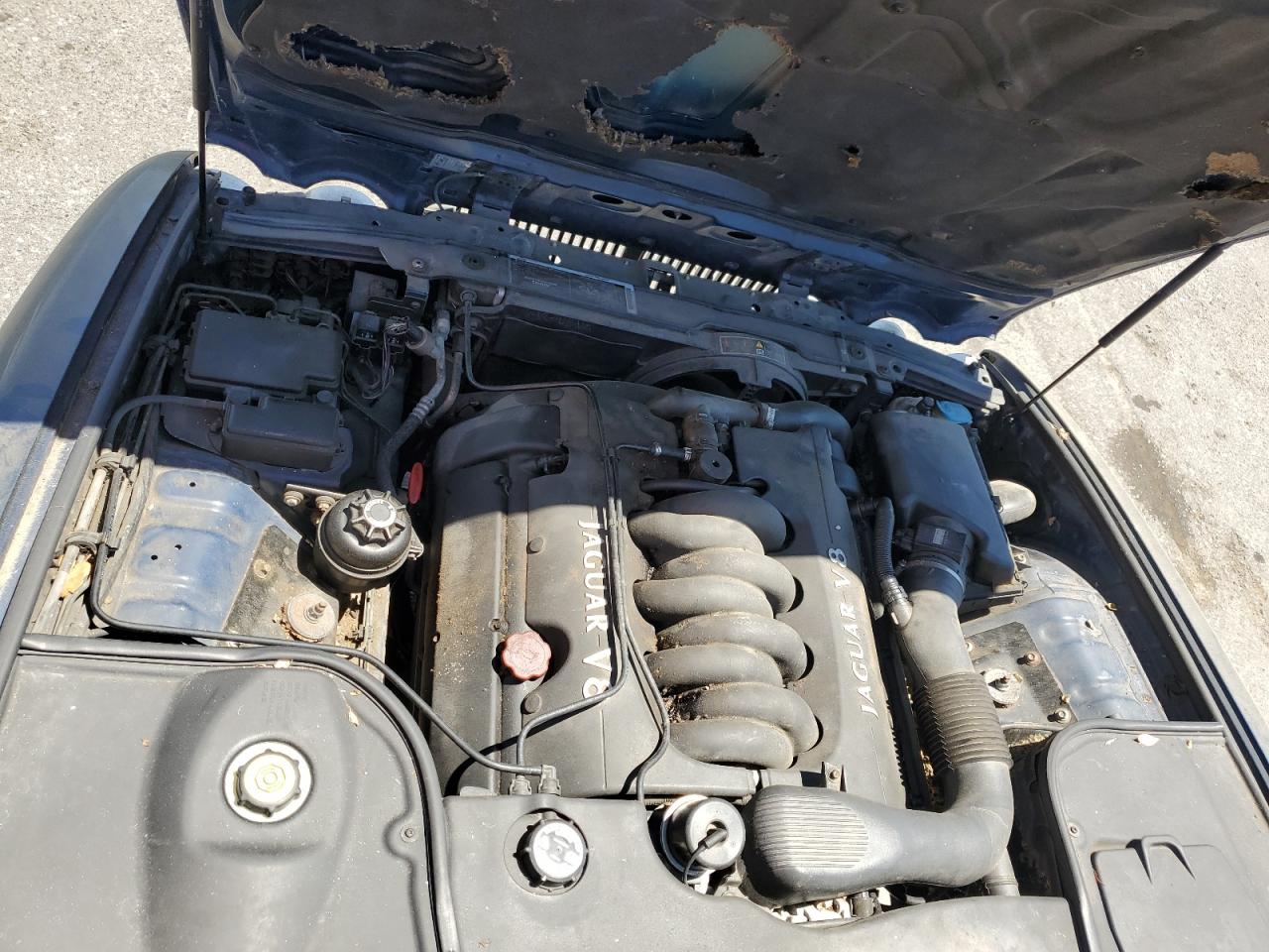 SAJHX1249WC815164 1998 Jaguar Xj8