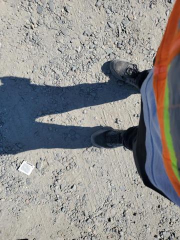 2004 Nissan 350Z Roadster VIN: JN1AZ36A94M251595 Lot: 59953794