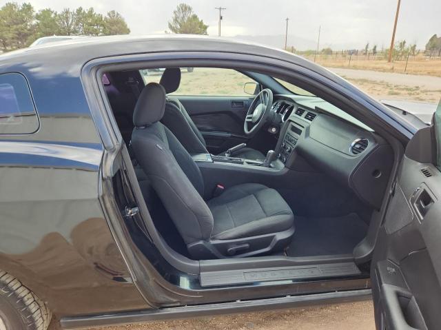 1ZVBP8AN4A5138123 2010 Ford Mustang