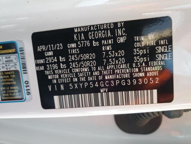 2023 Kia Telluride Sx VIN: 5XYP54GC3PG393052 Lot: 59713674