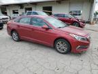 HYUNDAI SONATA SE photo