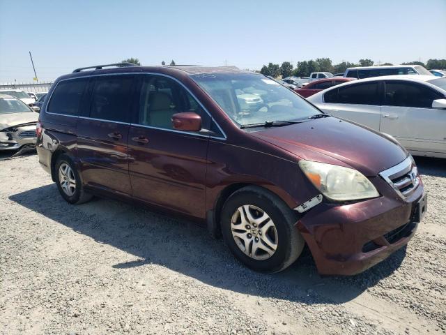 2007 Honda Odyssey Exl VIN: 5FNRL38747B060988 Lot: 60312234