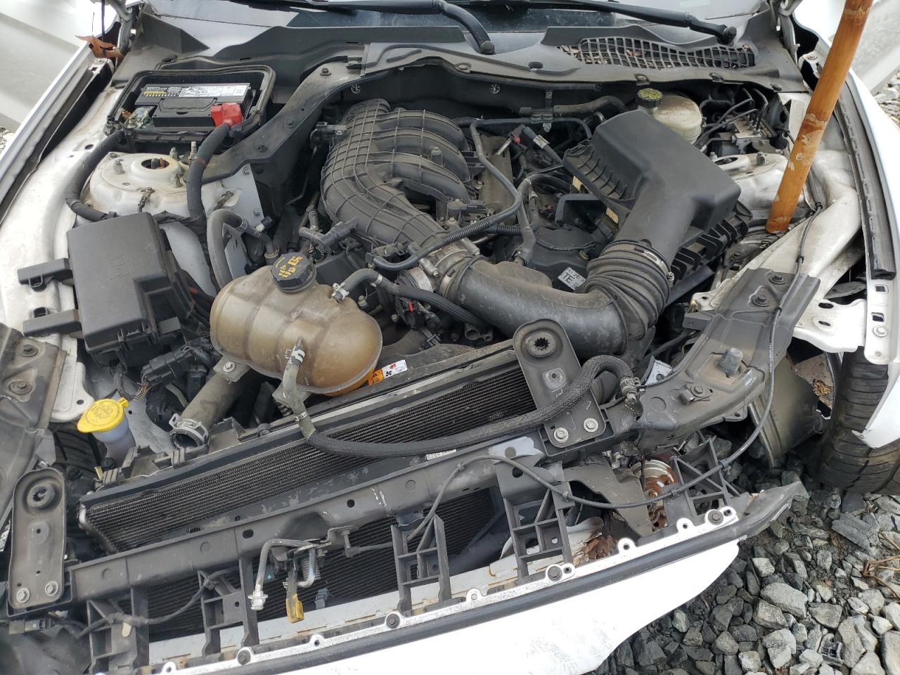 1FA6P8AM3F5306858 2015 Ford Mustang