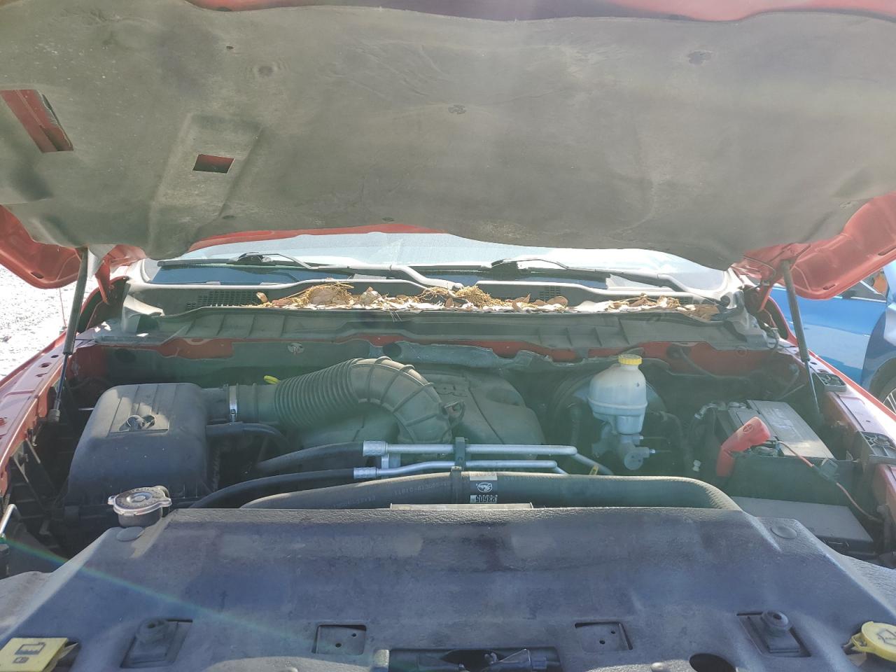 3D7JV1ET7BG611548 2011 Dodge Ram 1500