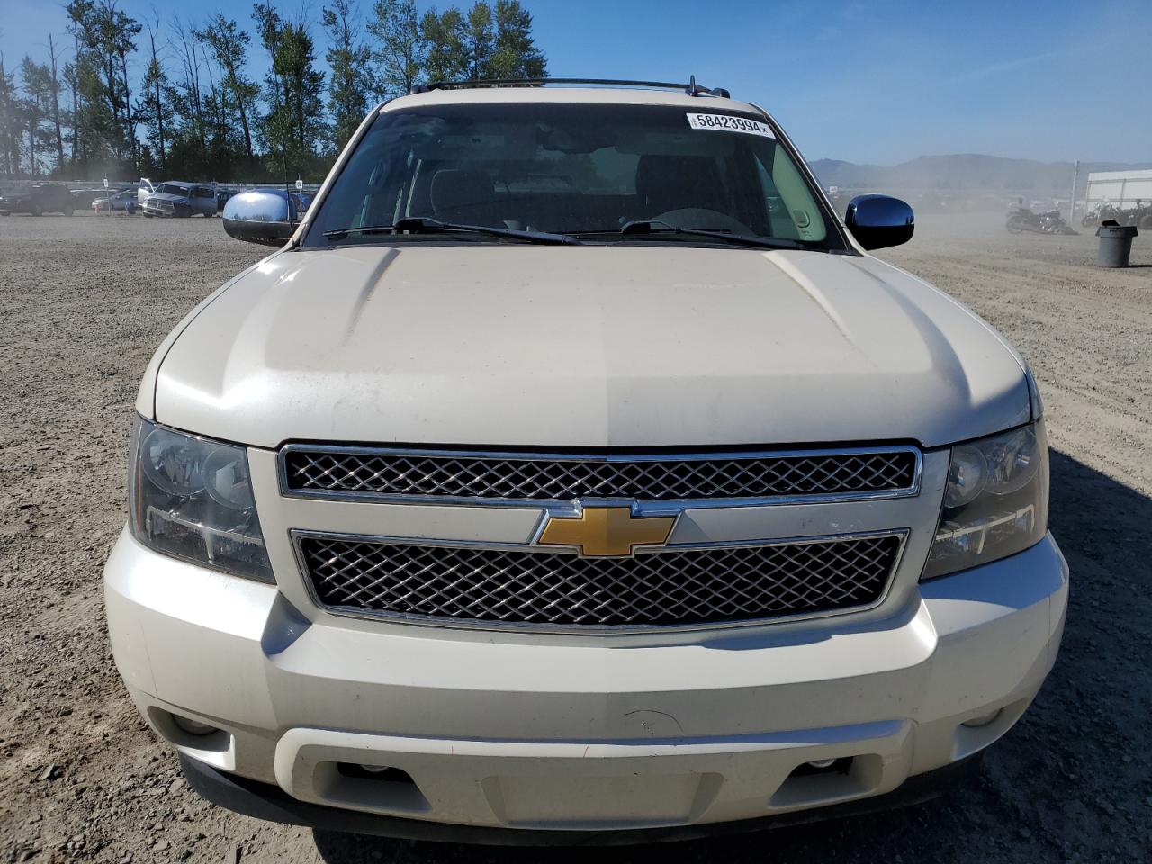 3GNTKGE75DG195057 2013 Chevrolet Avalanche Ltz