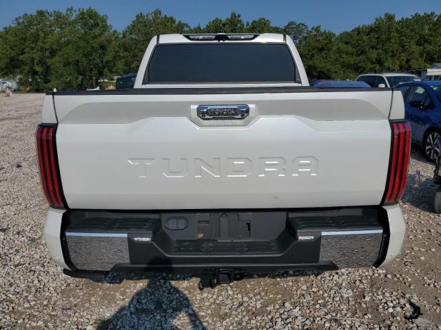 2022 Toyota Tundra Crewmax Platinum VIN: 5TFMA5AB5NX006368 Lot: 58718424