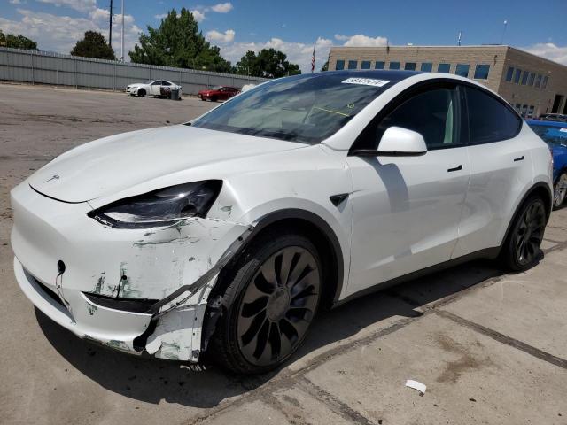 2022 TESLA MODEL Y #2996901859