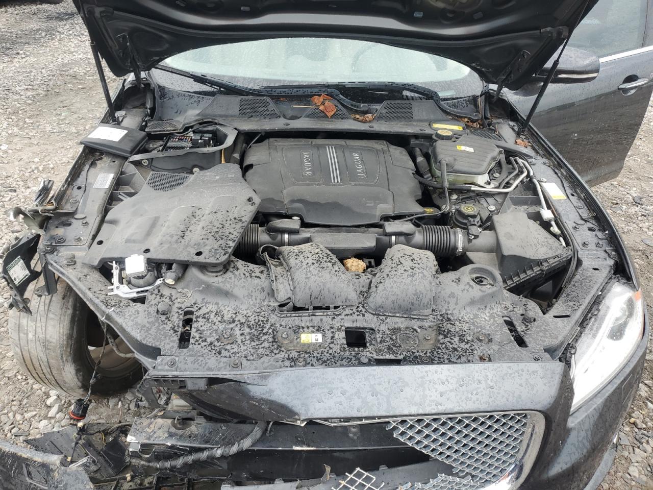 SAJWA2GB7BLV13226 2011 Jaguar Xjl