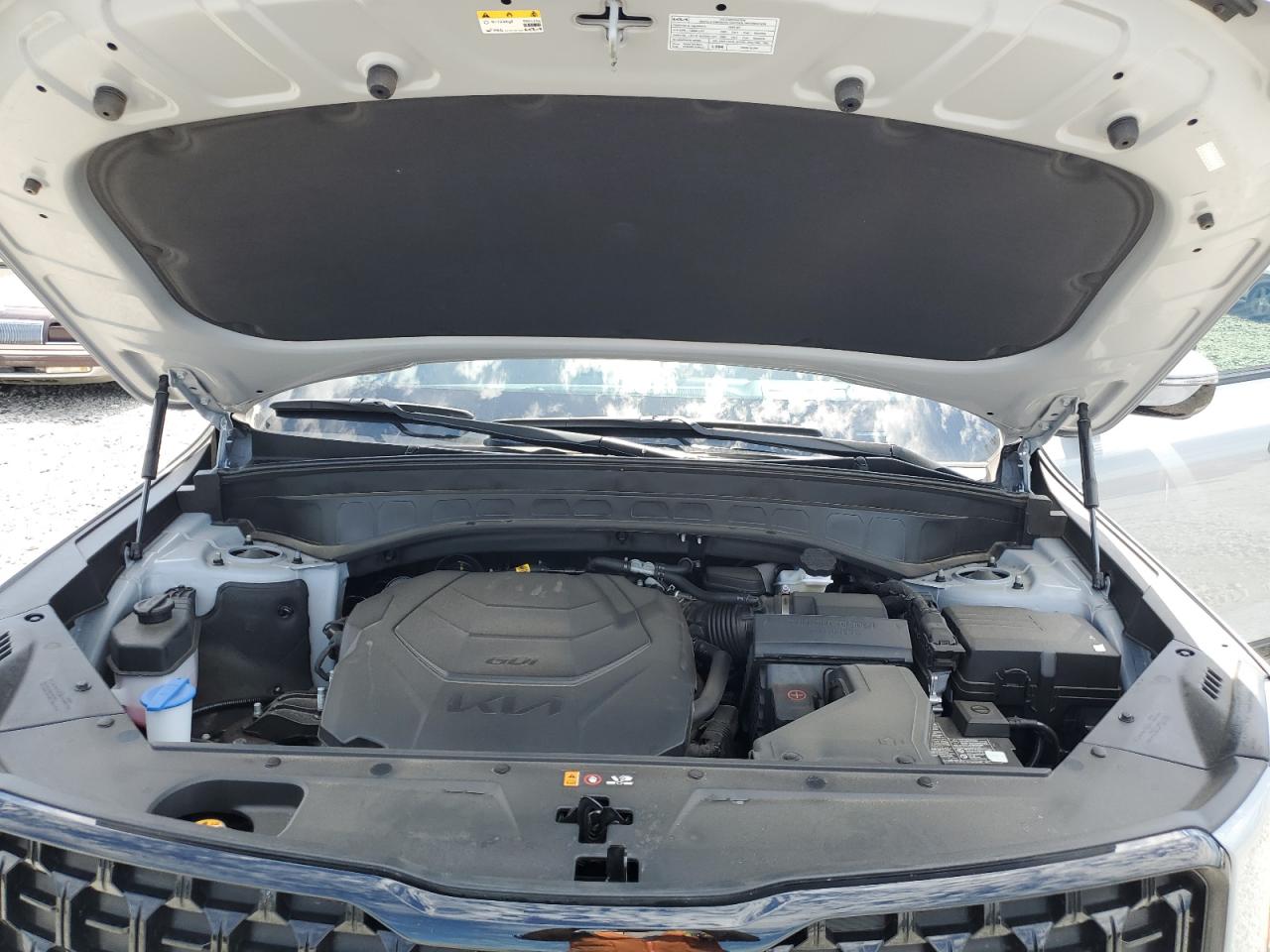 5XYP5DGC6RG425477 2024 Kia Telluride Sx