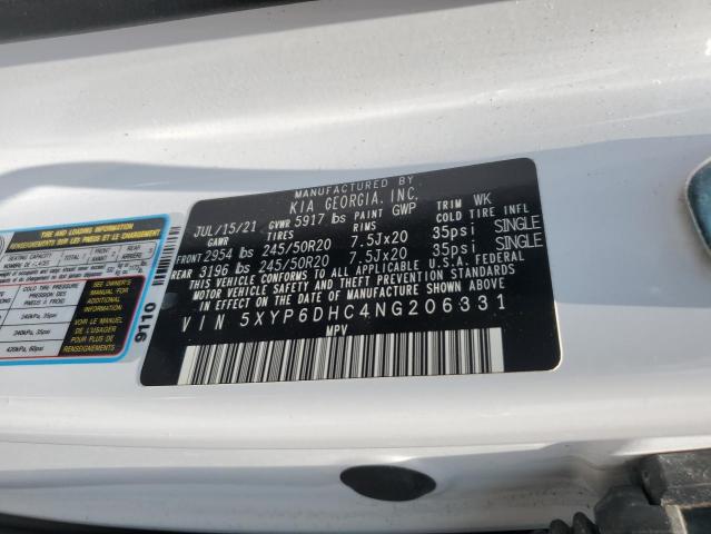 2022 Kia Telluride S VIN: 5XYP6DHC4NG206331 Lot: 59202394