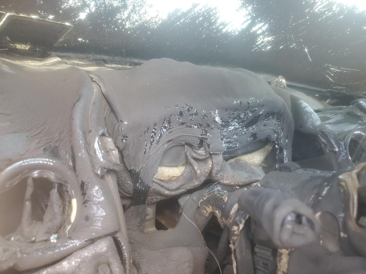 1FTPX14576NA68295 2006 Ford F150