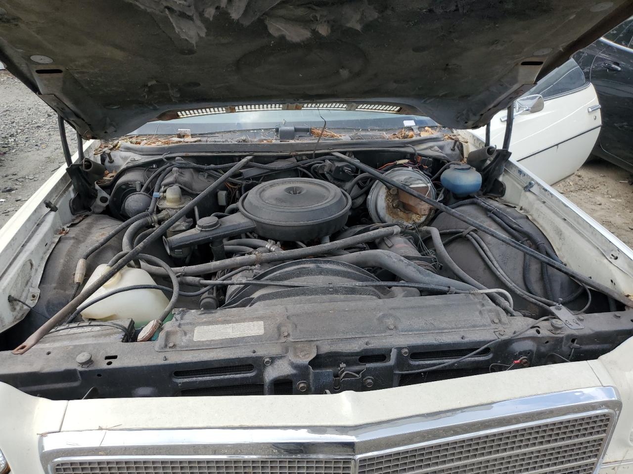 1D80H4B431301 1974 Chevrolet El Camino