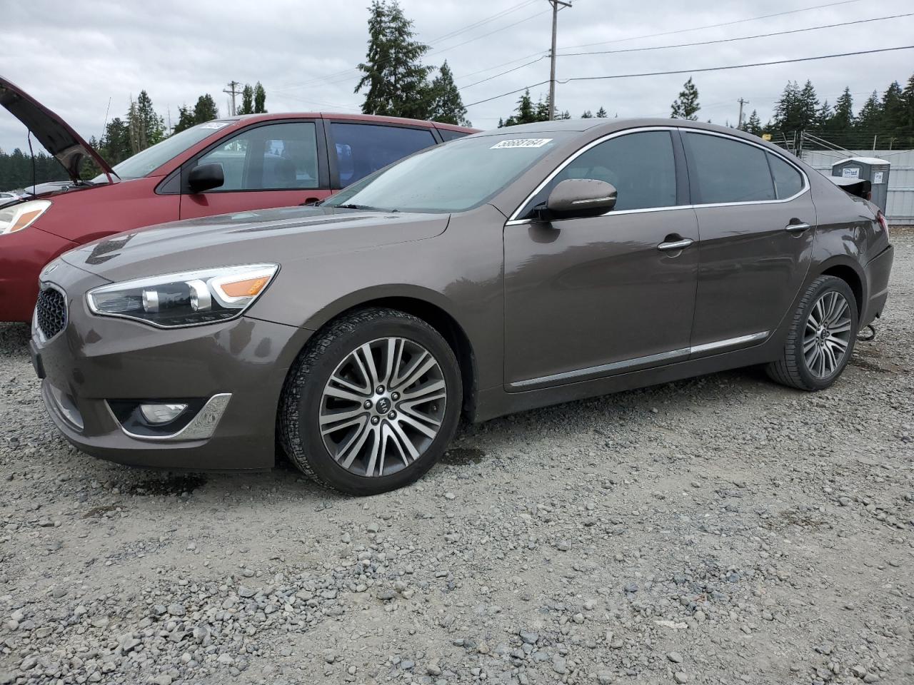 KNALN4D74F5172599 2015 Kia Cadenza Premium