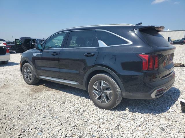 KNDRG4LG3N5090628 Kia Sorento S 2