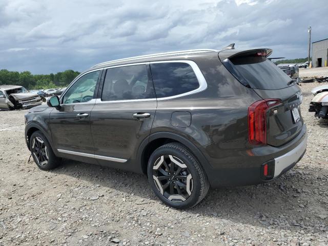 2024 Kia Telluride S VIN: 5XYP6DGC1RG531493 Lot: 59447844