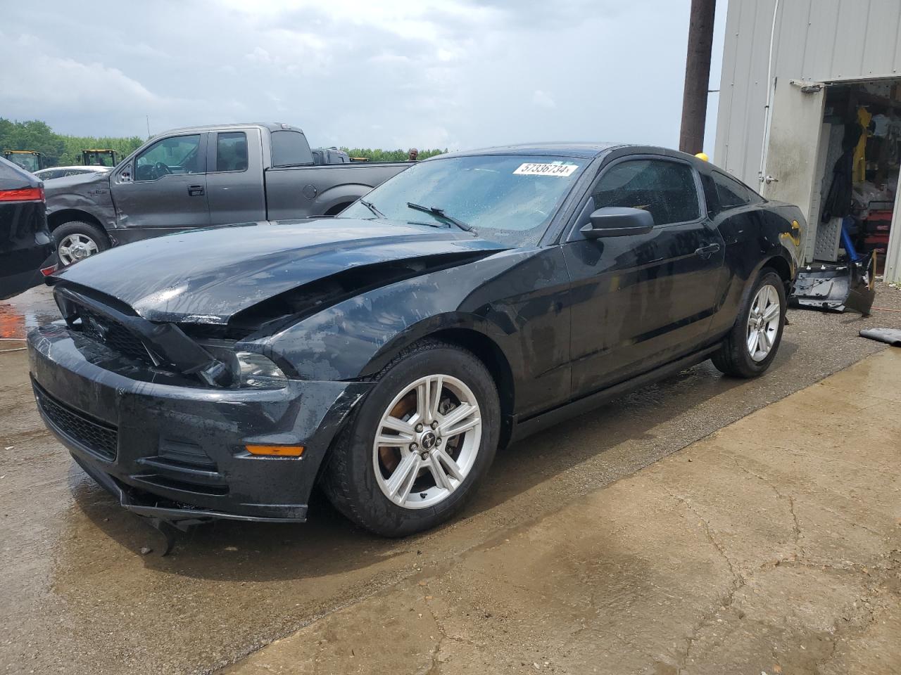 2013 Ford Mustang vin: 1ZVBP8AM7D5280235