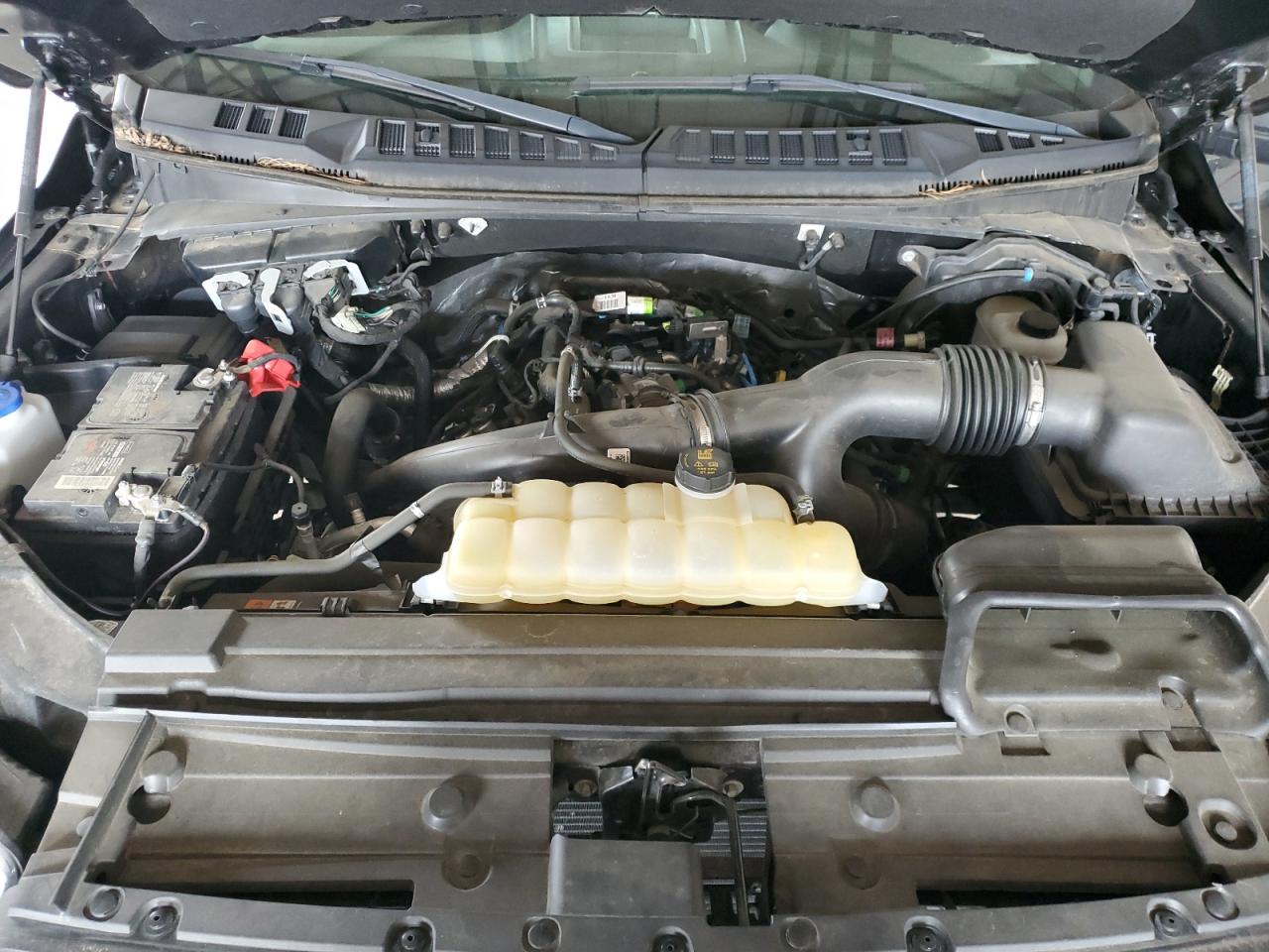 1FTEW1EP0KFD12464 2019 Ford F150 Supercrew