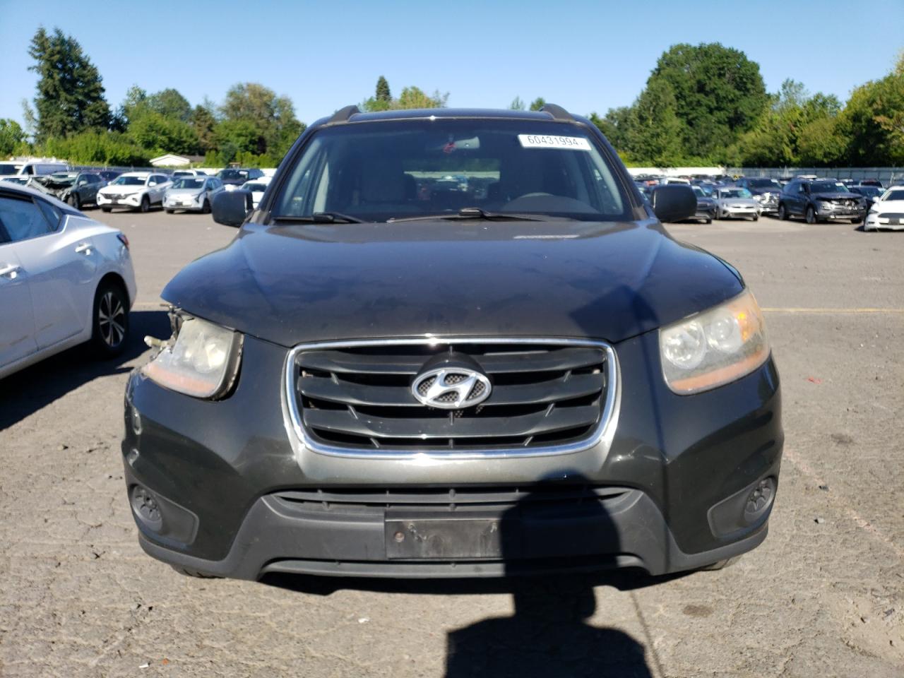 5NMSGDAB2AH417309 2010 Hyundai Santa Fe Gls