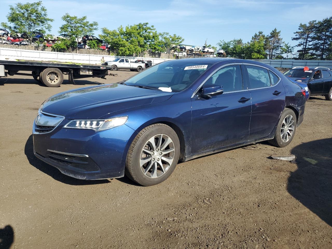 19UUB1F50FA018264 2015 Acura Tlx Tech