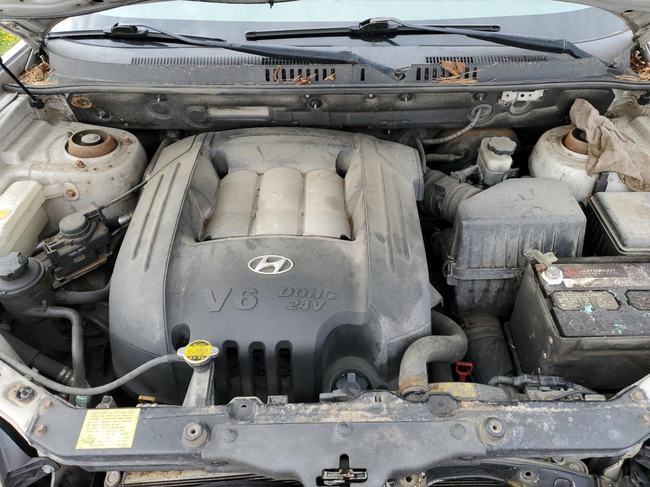 KM8SC73D04U632028 2004 Hyundai Santa Fe Gls