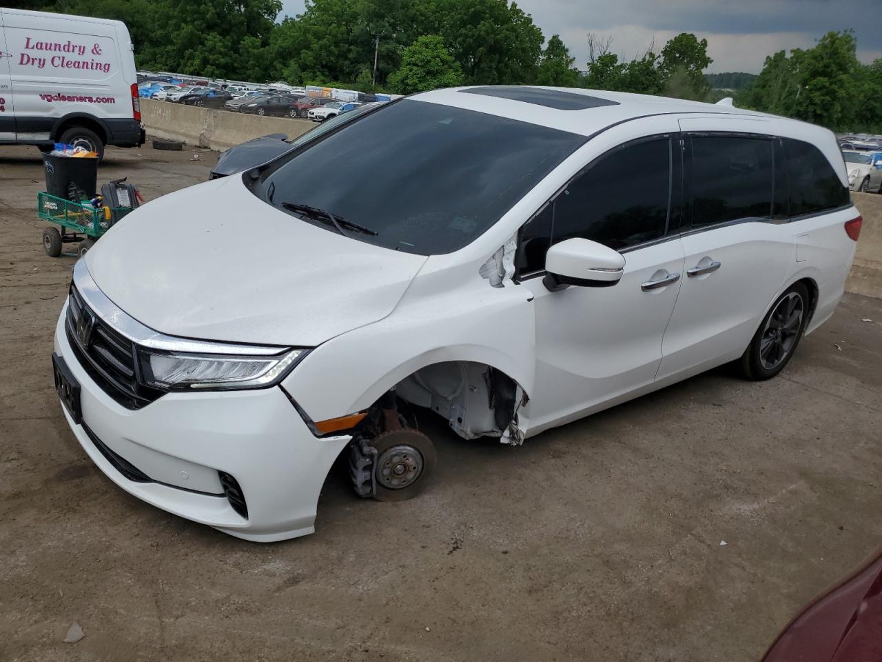 Lot #2920726403 2023 HONDA ODYSSEY EL